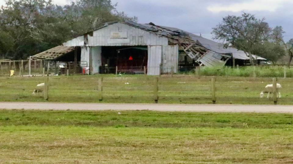 Jerry Dakin says it will take years for Dakin Dairy Farms, 30771 Betts Road, Myakka City, shown Jan. 26, 2023, to recover from the damage caused by Hurricane Ian in September 2022. Many barns there are missing their roofs.