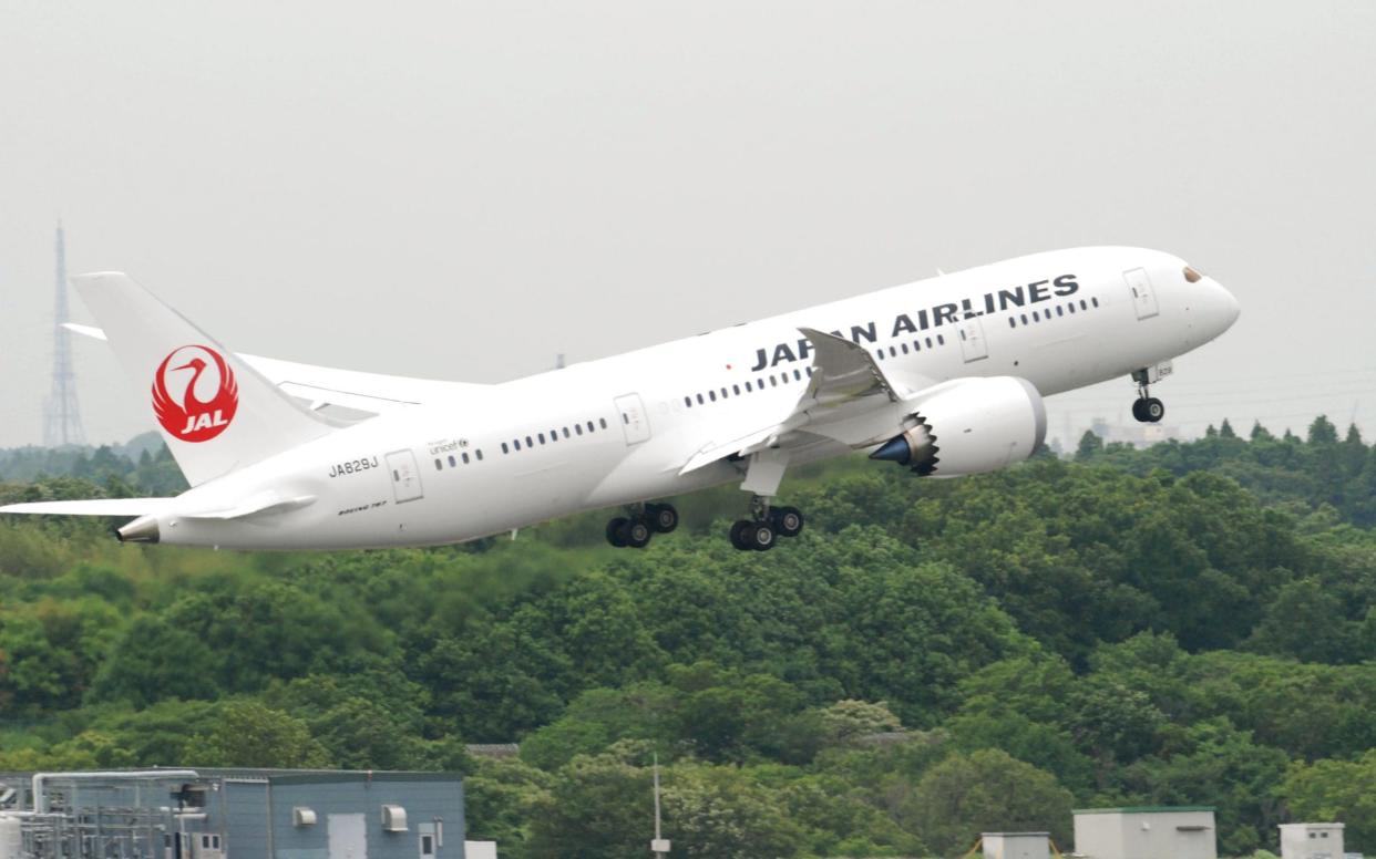 A Japan Airlines flight was apparently hit by a bird strike - AP