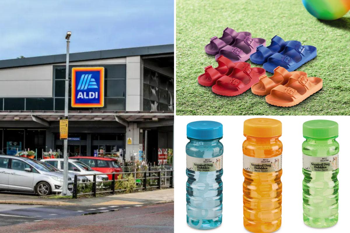 Discover the top items from Aldi's Specialbuys in June 2024 <i>(Image: Aldi)</i>