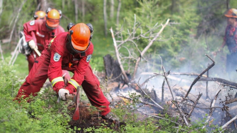 B.C. Wildfire Service expects crush of applications following busy year