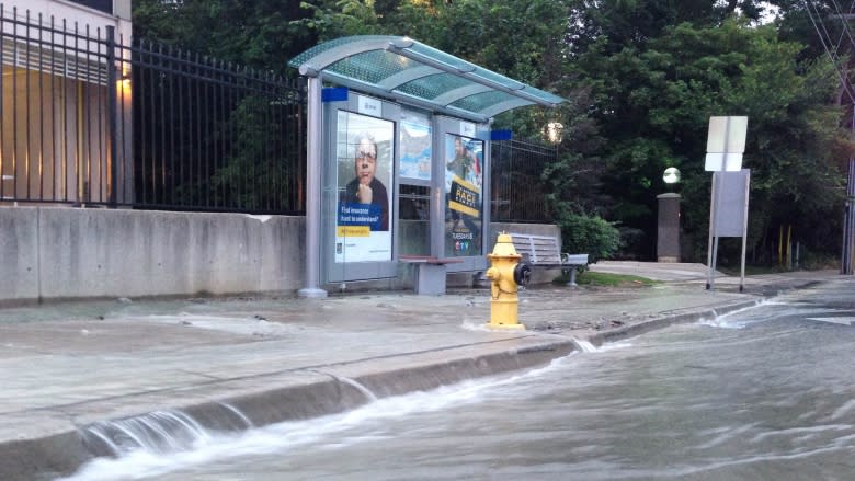 Bayview and York Mills closed due to water main break