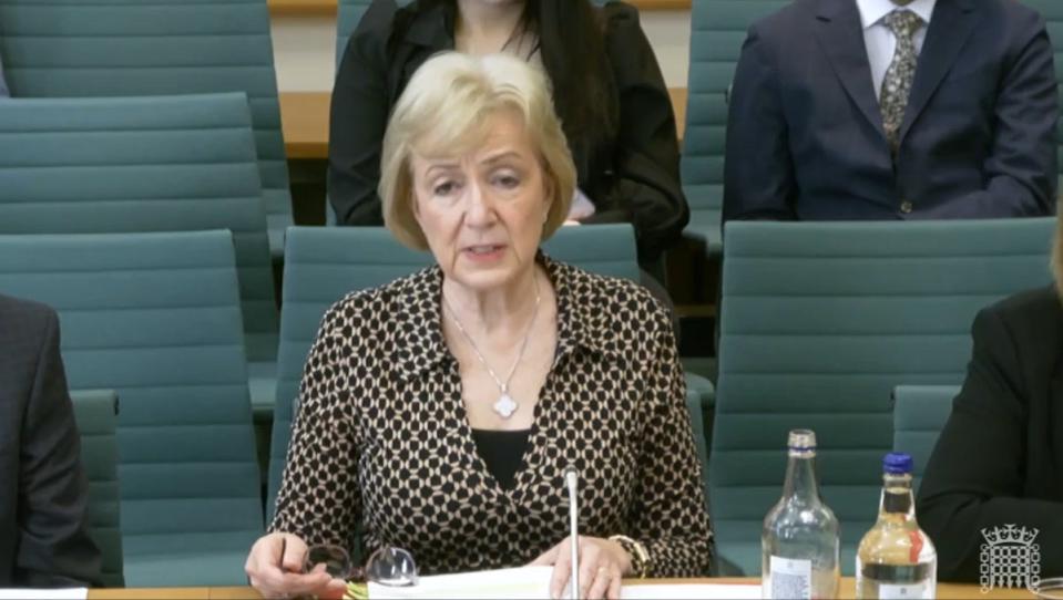 Health minister Dame Andrea Leadsom appearing before the Health and Social Care Committee (House of Commons/UK Parliament/PA Wire)