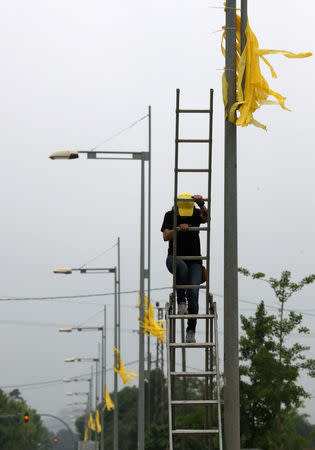 A member of Granoller's Committee for the Defence of the Republic (CDR) hangs yellow ribbons to demand the release of jailed Catalonian politicians in Granollers, Spain May 12, 2018. REUTERS/Albert Gea