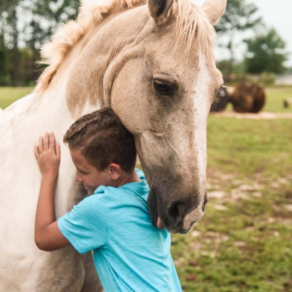 Children and adults can benefit from the non-riding activities in equine therapy. It helps ease mental health issues such as anxiety, depression and post-traumatic stress disorder.