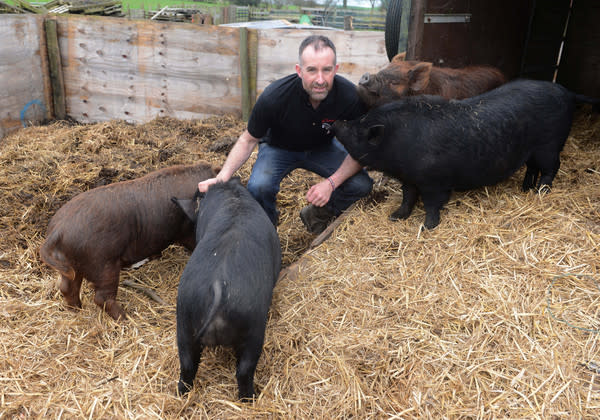 Mr Nolan is fed up with 'townies' who don't understand the logistics of the farm (SWNS)