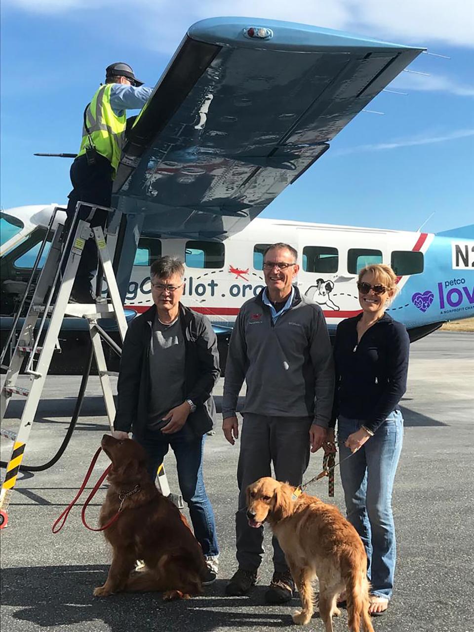 Golden Retrievers Plane