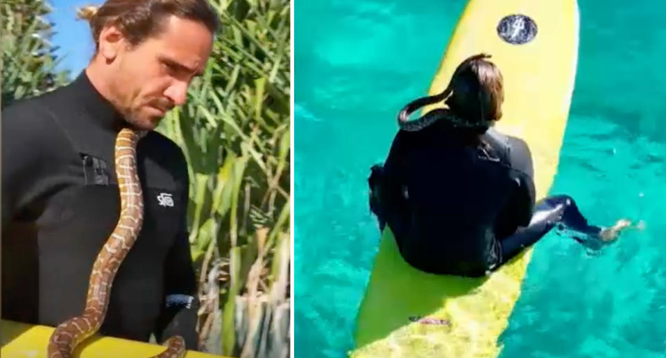 Gold Coast surfer on yellow surf board with pet python snake at Rainbow Bay. 