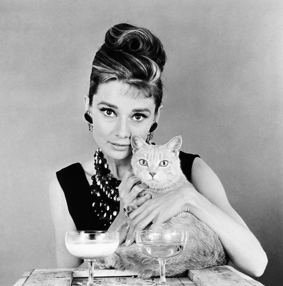 Cat, ‘Breakfast at Tiffany's’ (1961)