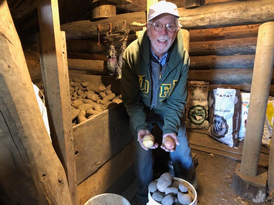 Rob Diether, 70, holds up two Cariboo potatoes in his hand at the co-op farm he helped   form nearly two decades ago. The Cariboo potatoes are not allowed to be grown in a commercial fashion — but Diether says the fact his farm continues to grow them reflects a need to continue sustainable farming practices.