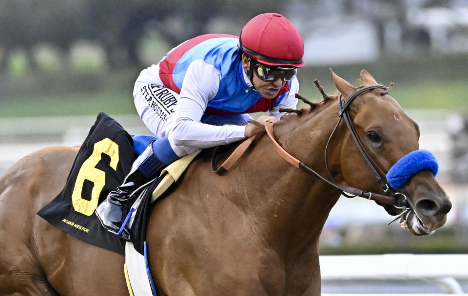 Flutter  Arcadia,  - December 26:  Jockey Mike Smith riding Taiba wins the Malibu Stakes (Grade 1) race during Opening day of the winter-spring meet at Santa Anita Park in Arcadia on Monday, December 26, 2022. (Photo by Keith Birmingham/MediaNews Group/Pasadena Star-News via Getty Images)