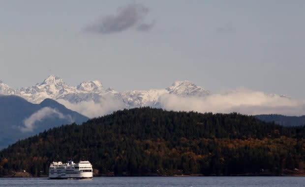 BC Ferries added extra sailings over the Easter long weekend. (Jonathan Hayward/The Canadian Press - image credit)