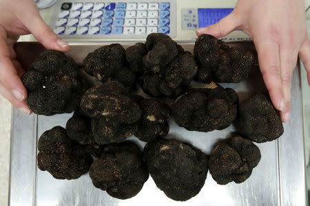 A vendor weighs winter black truffles (Tuber Melanosporum) at the Rungis International wholesale food market as buyers prepare for the Christmas holiday season in Rungis, south of Paris, France, November 30, 2017. Picture taken November 30, 2017. REUTERS/Benoit Tessier