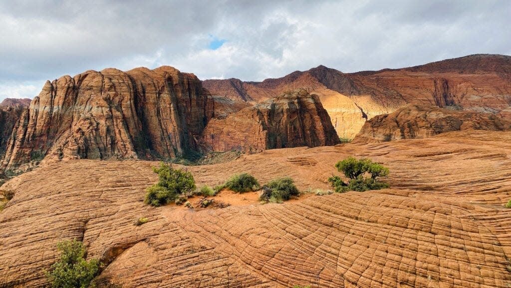 Snow Canyon State Park is one of the great spots near Zion.