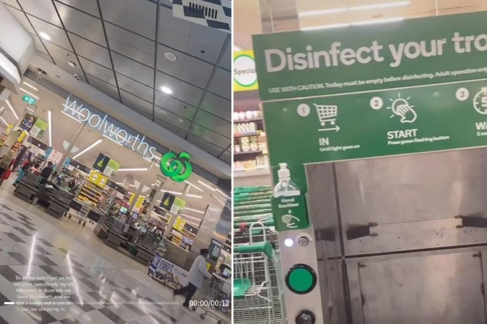 Woolworths customer's TikTok screenshots. Source: TikTok/@shereenchadoud