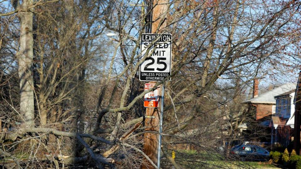 Debris from a downed tree blocks the street on Arcadia Park leading out to Nicholasville Road Sunday, March 5, 2023. Two day earlier a strong wind storm knocked out power to much of Lexington, Ky. Brian Simms/bsimms@herald-leader.com