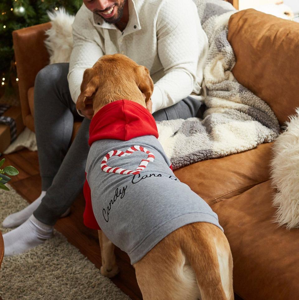 6) Frisco Candy Cane Crew Dog & Cat Hoodie