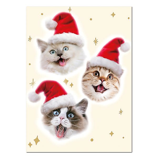 <p><a href="https://go.redirectingat.com?id=74968X1596630&url=https%3A%2F%2Fwww.papersource.com%2Fgreeting-cards%2Fmerry-catmas-holiday-card-0012615780956.html&sref=https%3A%2F%2Fwww.countryliving.com%2Flife%2Fentertainment%2Fg45142152%2Ffunny-christmas-card-ideas%2F" rel="nofollow noopener" target="_blank" data-ylk="slk:Shop Now;elm:context_link;itc:0;sec:content-canvas" class="link ">Shop Now</a></p><p>Merry Catmas Christmas Card</p><p>papersource.com</p><p>$3.99</p><span class="copyright">Paper Source</span>