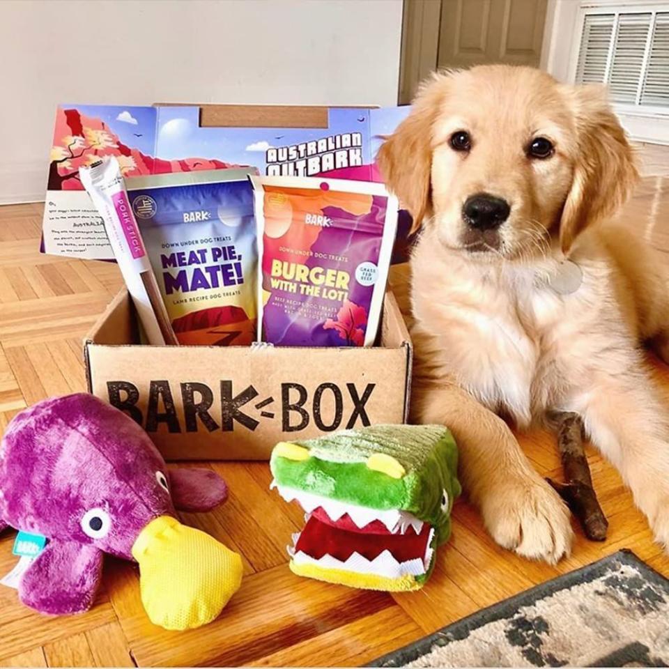 21) BarkBox Monthly Subscription Box