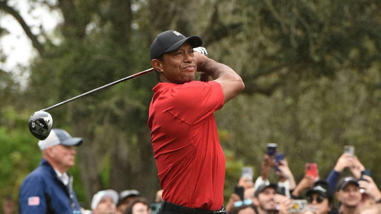 Schlaglichter: Das Leben von Tiger Woods