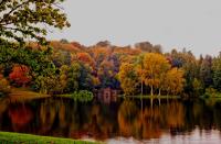 <p>During autumn, the beautiful National Trust gardens at Stourhead are emblazoned with deliciously golden colours. Wrap up warm and make a day trip of it. </p><p><a class="link " href="https://www.nationaltrust.org.uk/stourhead" rel="nofollow noopener" target="_blank" data-ylk="slk:BOOK VISIT">BOOK VISIT</a></p>