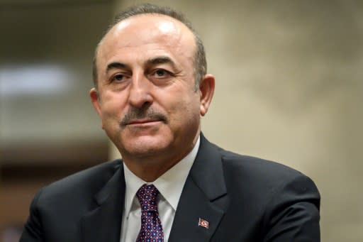 Turkish Foreign Minister Mevlut Cavusoglu predicted US President Donald Trump's Syria withdrawal