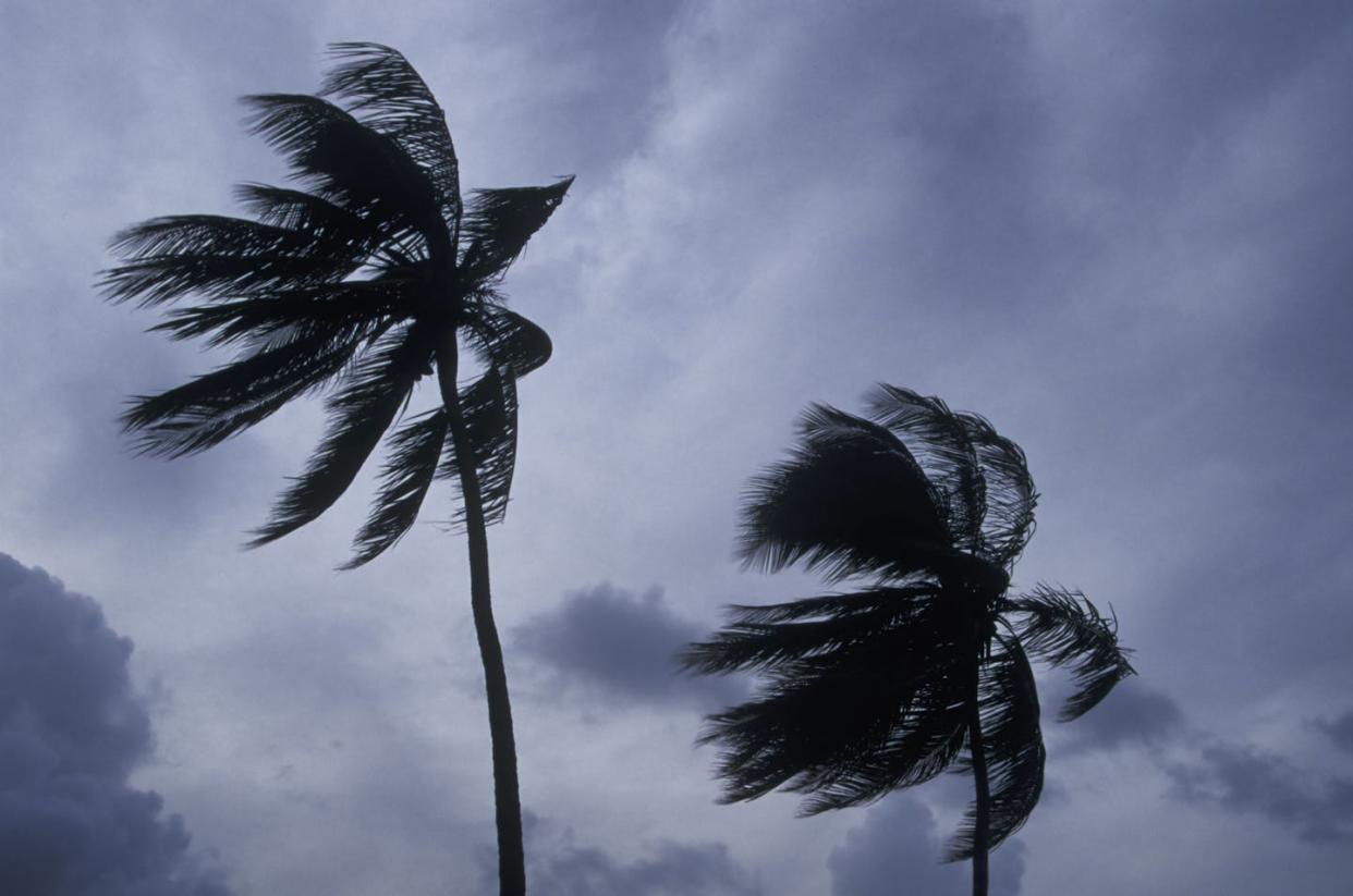 Puerto Rico has a fraught history with tropical storms, and climate change is making them more damaging. <a href="https://www.gettyimages.com/detail/photo/palm-trees-in-hurricane-winds-royalty-free-image/502004667" rel="nofollow noopener" target="_blank" data-ylk="slk:Mike Hill/Stone, via Getty Images;elm:context_link;itc:0;sec:content-canvas" class="link ">Mike Hill/Stone, via Getty Images</a>