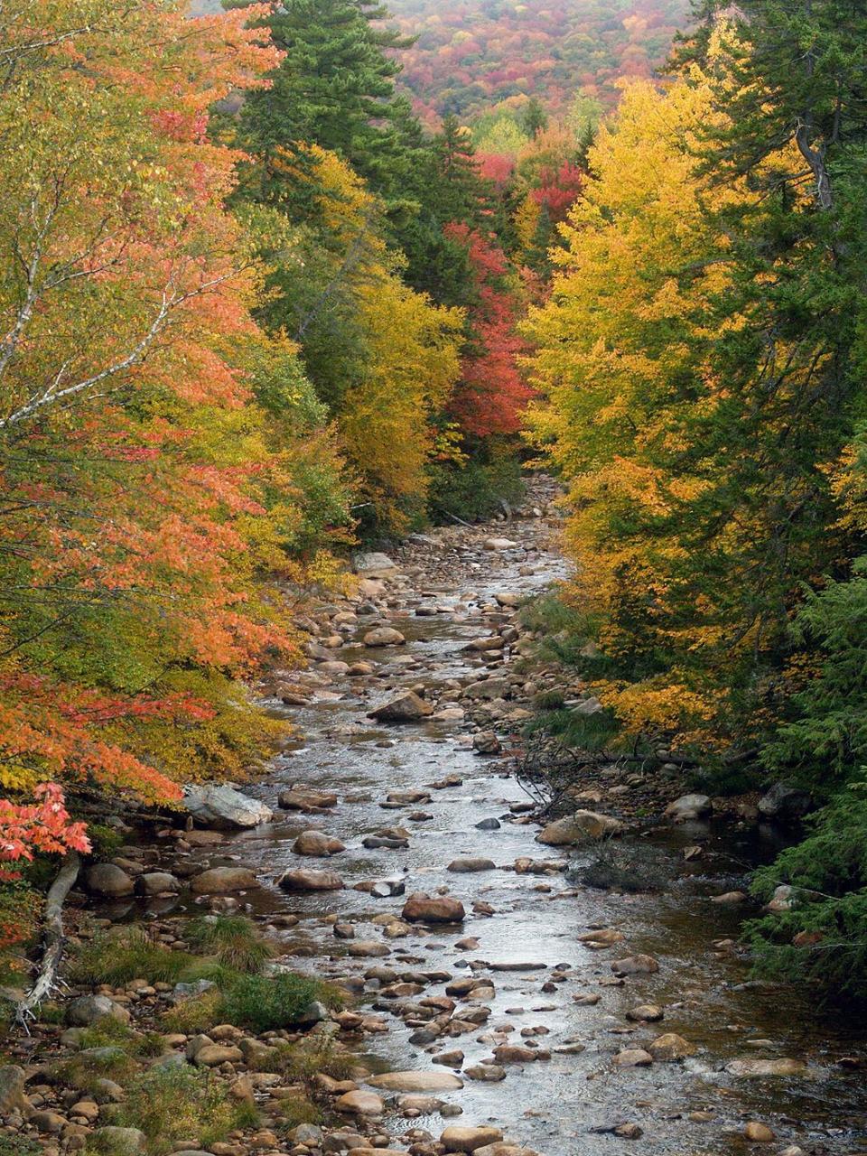 New Hampshire