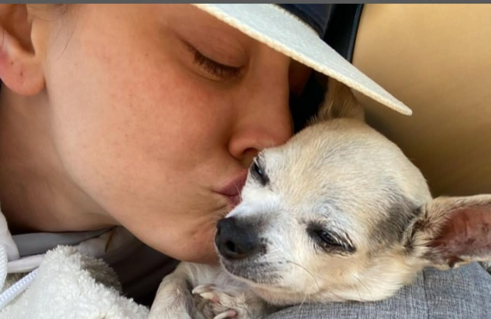 Kaley Cuoco is devastated to lose her canine companion credit:Bang Showbiz