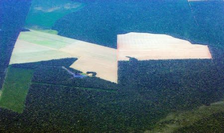 FILE PHOTO: Virgin Amazon rain forest borders deforested land prepared for the planting of soybeans, in this aerial photo taken over Mato Grosso state in western Brazil, February 25, 2008. REUTERS/Paulo Whitaker/File photo