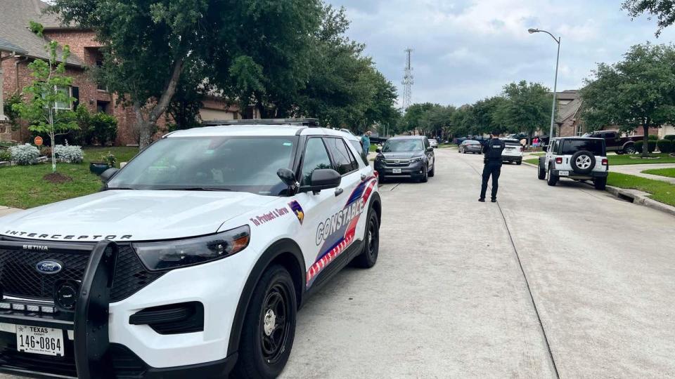 <div>(Photo courtesy of Mark Herman, Harris County Constable Precinct 4 (@Pct4Constable) on X)</div>