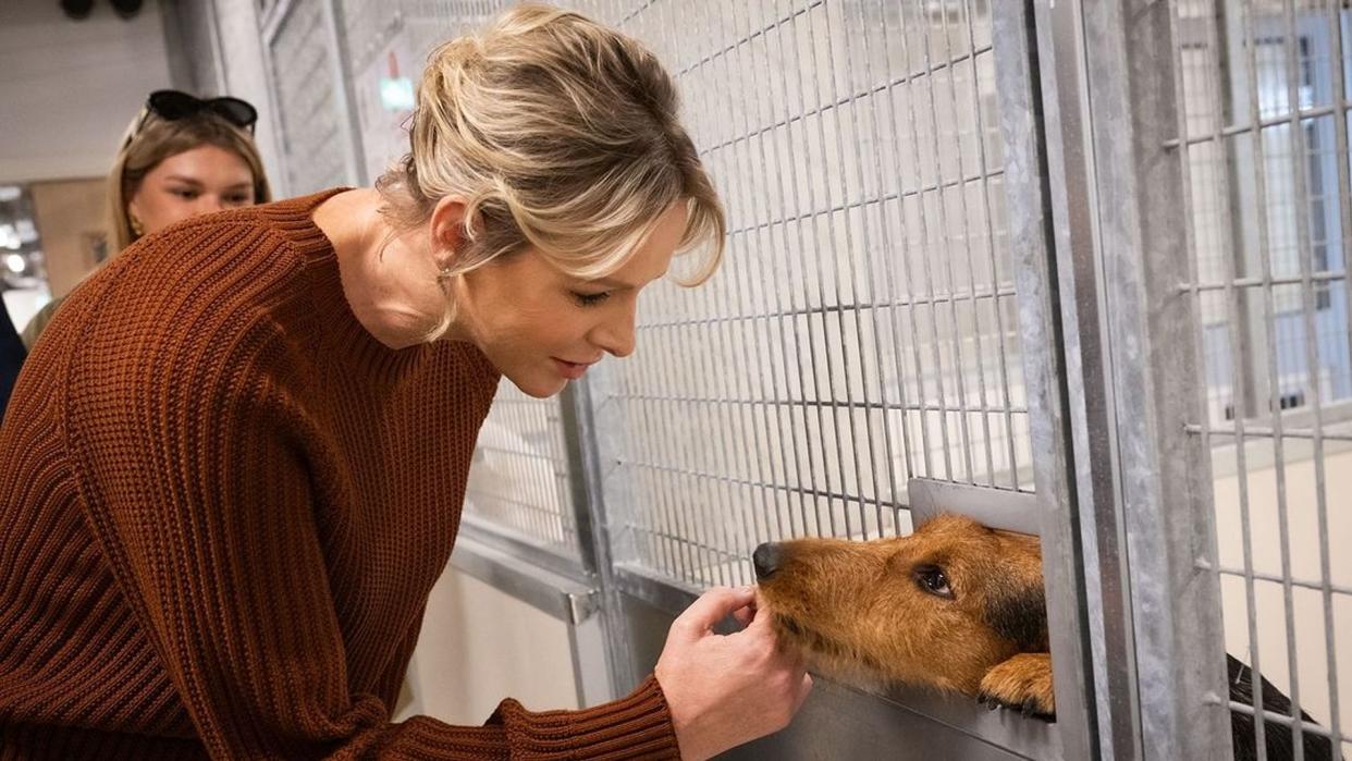 Princess Charlene of Monaco pets a dog at an animal welfare centre