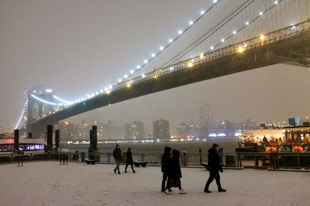 Snow falls in Brooklyn Bridge Park in Brooklyn, New York City on Sunday, January 16, 2022.