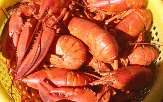 6 p.m.: Union River Lobster Pot, Ellsworth