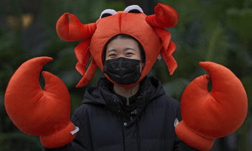 A crab costume