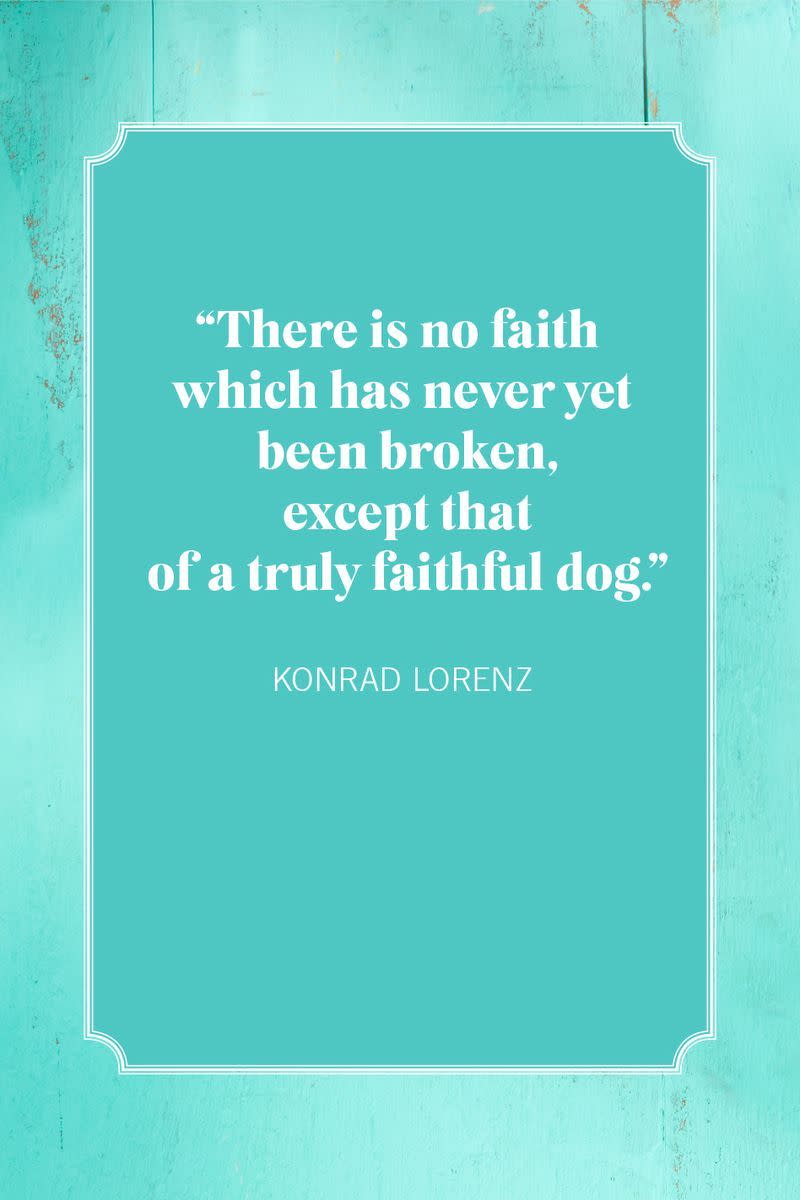 dog mom quotes konrad lorenz