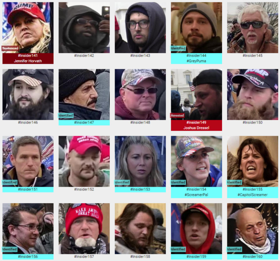 The Sedition Hunters website features images of people online sleuths say took part in the Jan. 6 attack, including many (in blue) who have been identified. (Sedition Hunters)