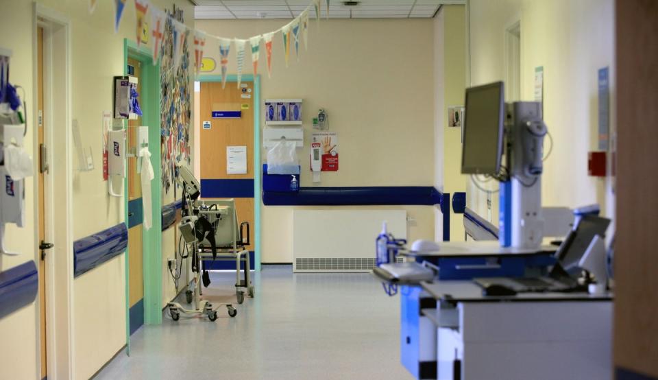 The NHS waiting list is likely to “more or less flatline” for the next year (File picture)  (PA Archive)