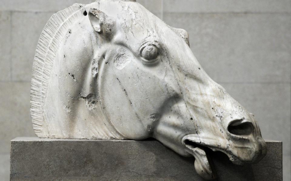 'You can't convince me that these things inside the British Museum are tamed': Horse head from the Elgin Marbles