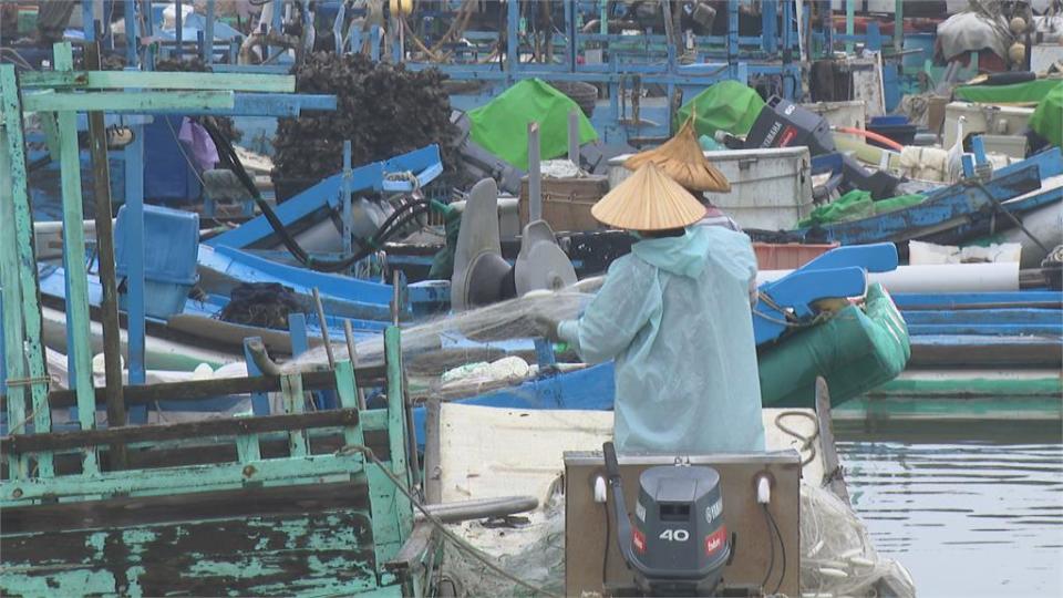 今年鰻苗市場很冷！北門潟湖大港口鰻苗捕撈權破天荒流標　漁民：高價搶標會倒賠