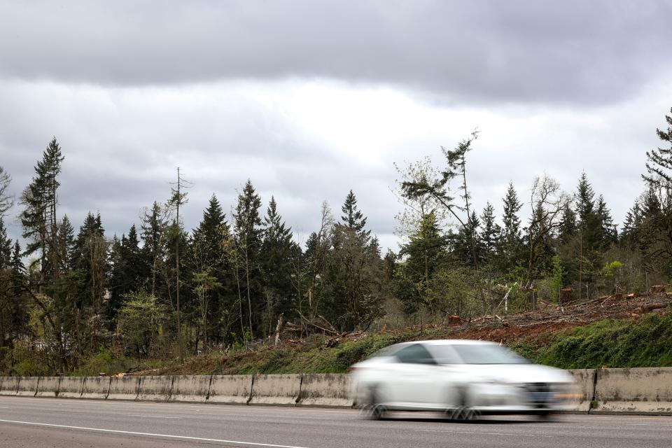 Trees have been cleared on private property and ODOT right-of-way land along Interstate 5 near the Delaney Road Exit.