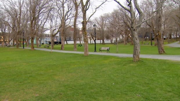 Bannerman Park will remain quiet this summer, with the Newfoundland and Labrador Folk Festival scaling back amid the ongoing COVID-19 pandemic. 