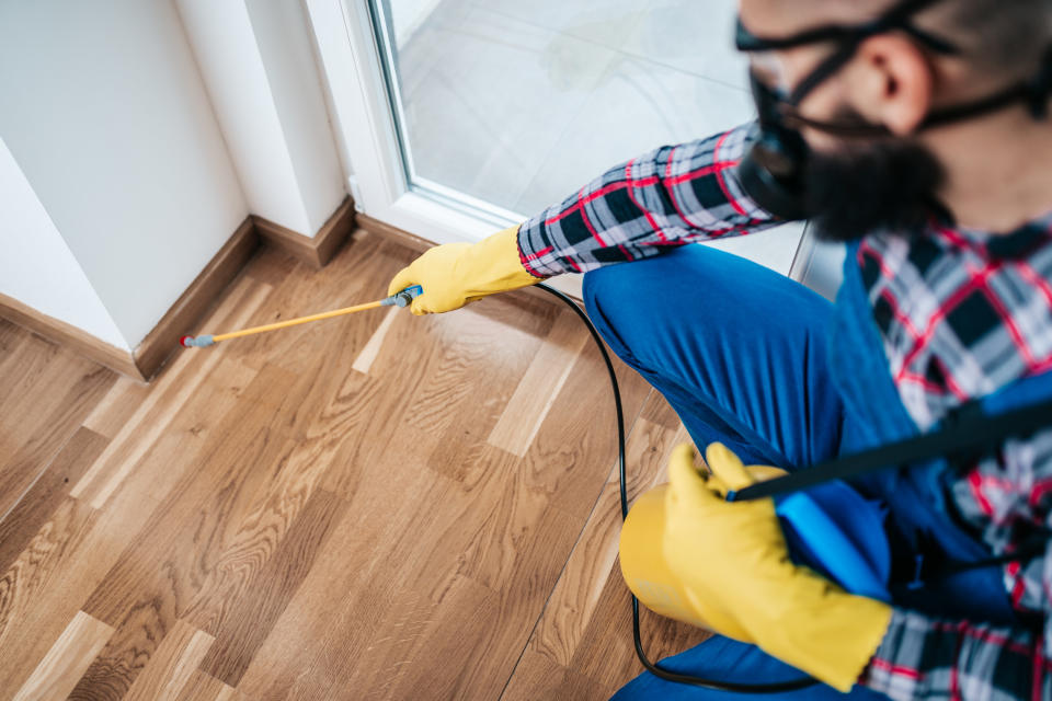 Exterminator spraying floors with pesticides for cockroaches