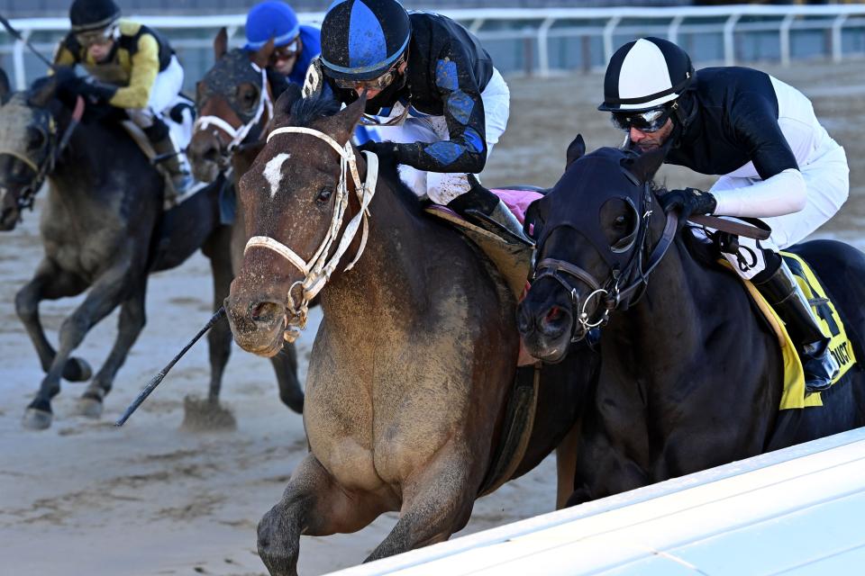 Uncle Heavy grabbing the lead during the Withers Stakes race on Feb. 3.