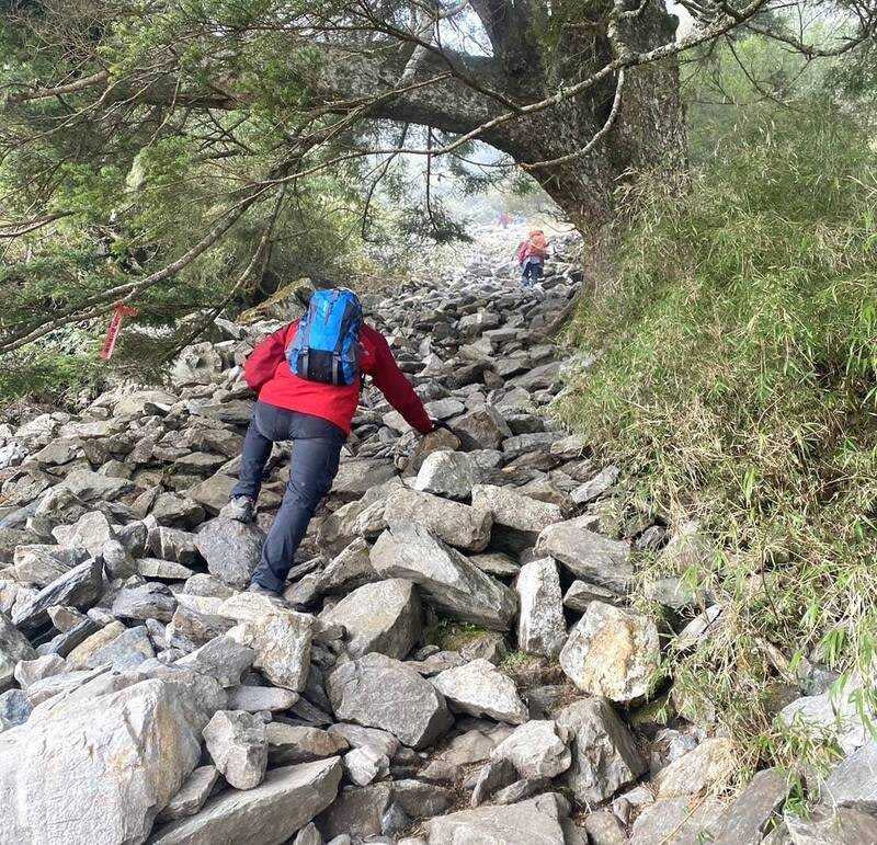 山友攀登途中墜崖，搜救人員進山救援。（圖／翻攝畫面）