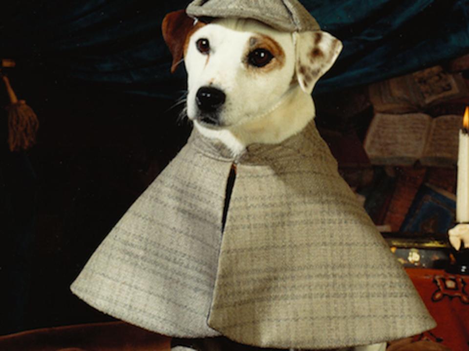 wishbone pbs