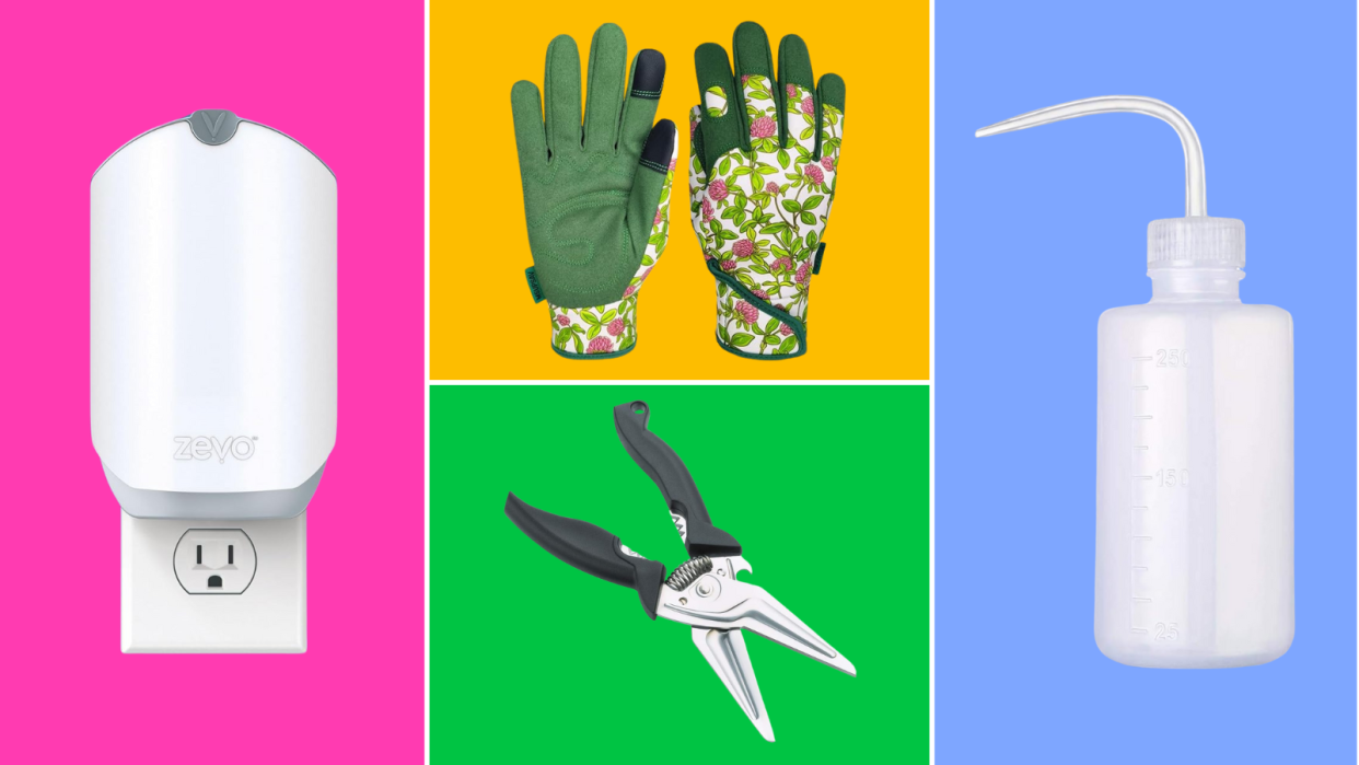 an insect trap, green floral gardening gloves, shears and a plant-watering squeeze bottle on a colorful background