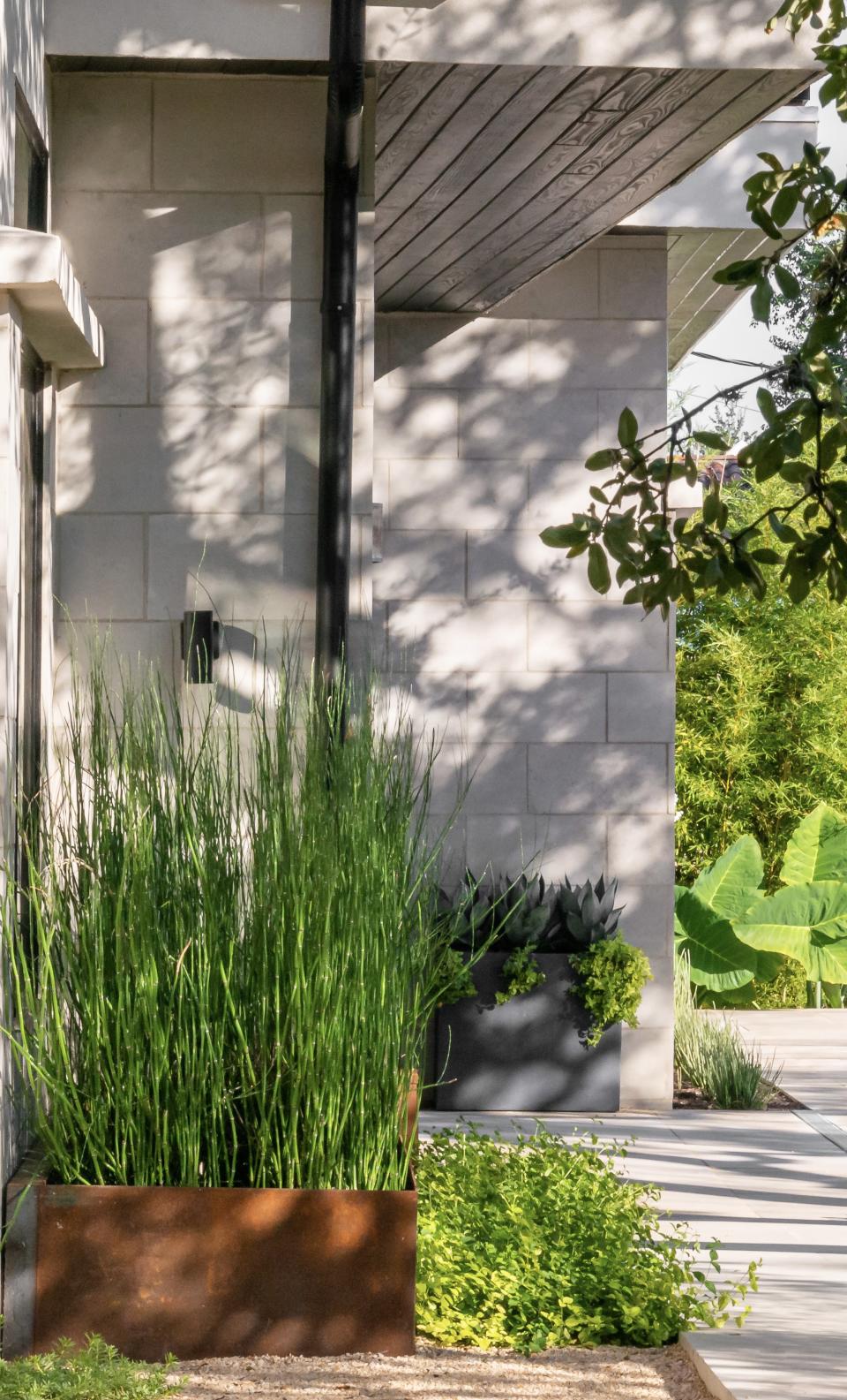 Front door with succulents and grass planting