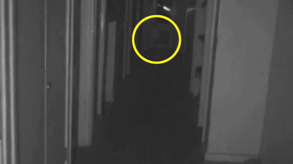 Eerie footage captured last month in Wentworth Woodhouse, in Yorkshire, appears to show a child-sized apparition move across a hallway. Photo: Caters