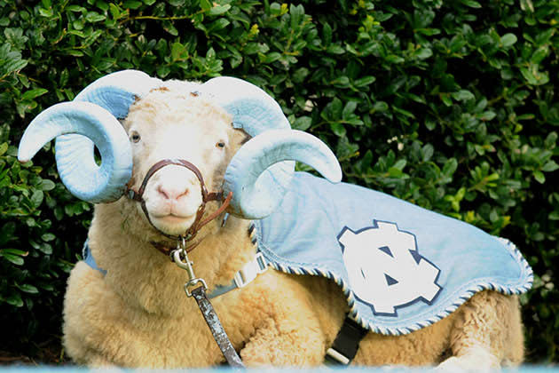 Rameses XVIII, The University of North Carolina at Chapel Hill