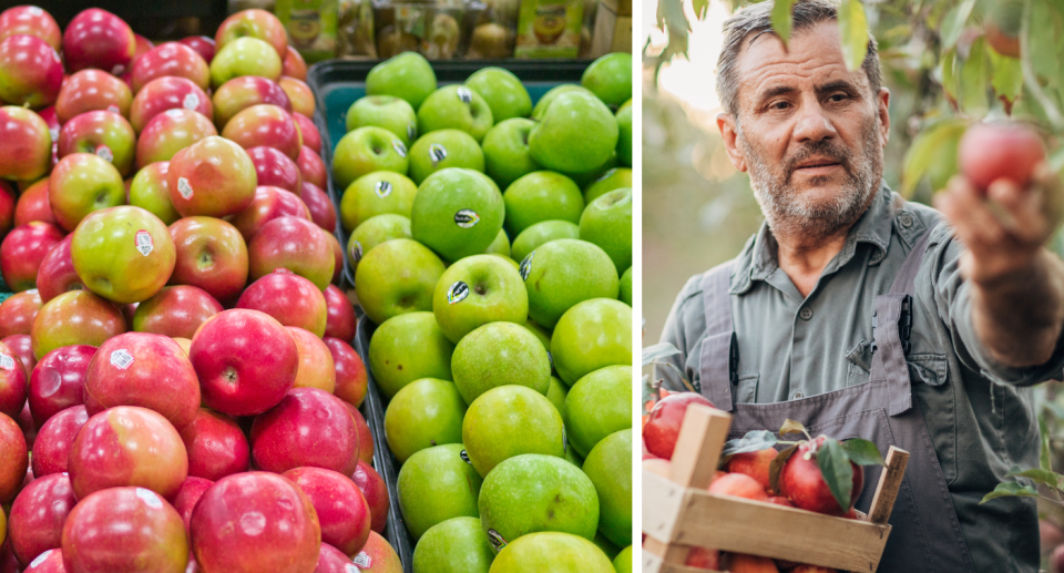 Coles apples in a supermarket and a farmer picking apples.